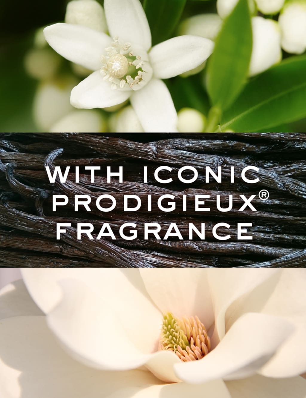 Hair Prodigieux® High Shine Conditioner 200ml 6 of 8