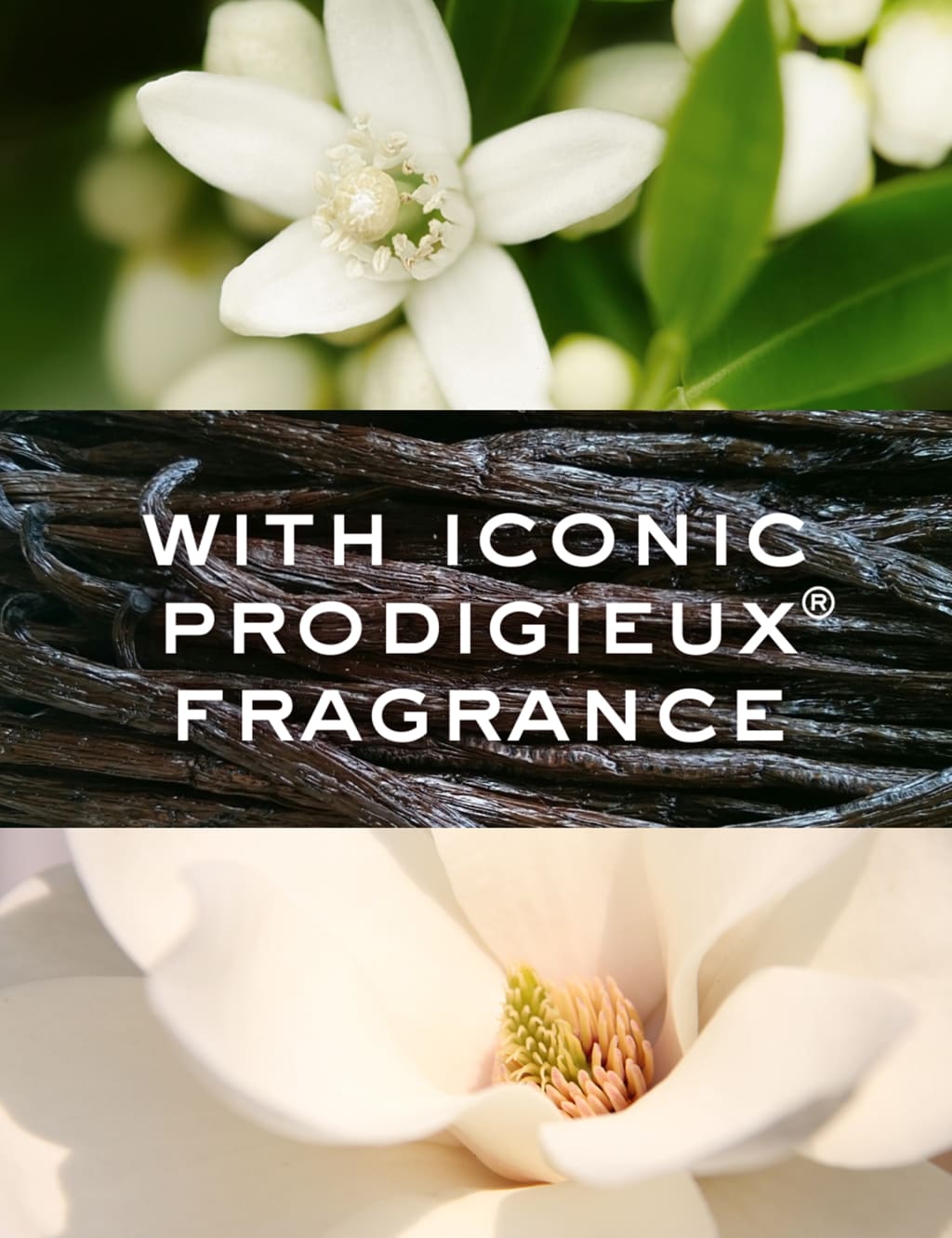 Hair Prodigieux® Pre-shampoo Nourishing Mask 125ml 8 of 9