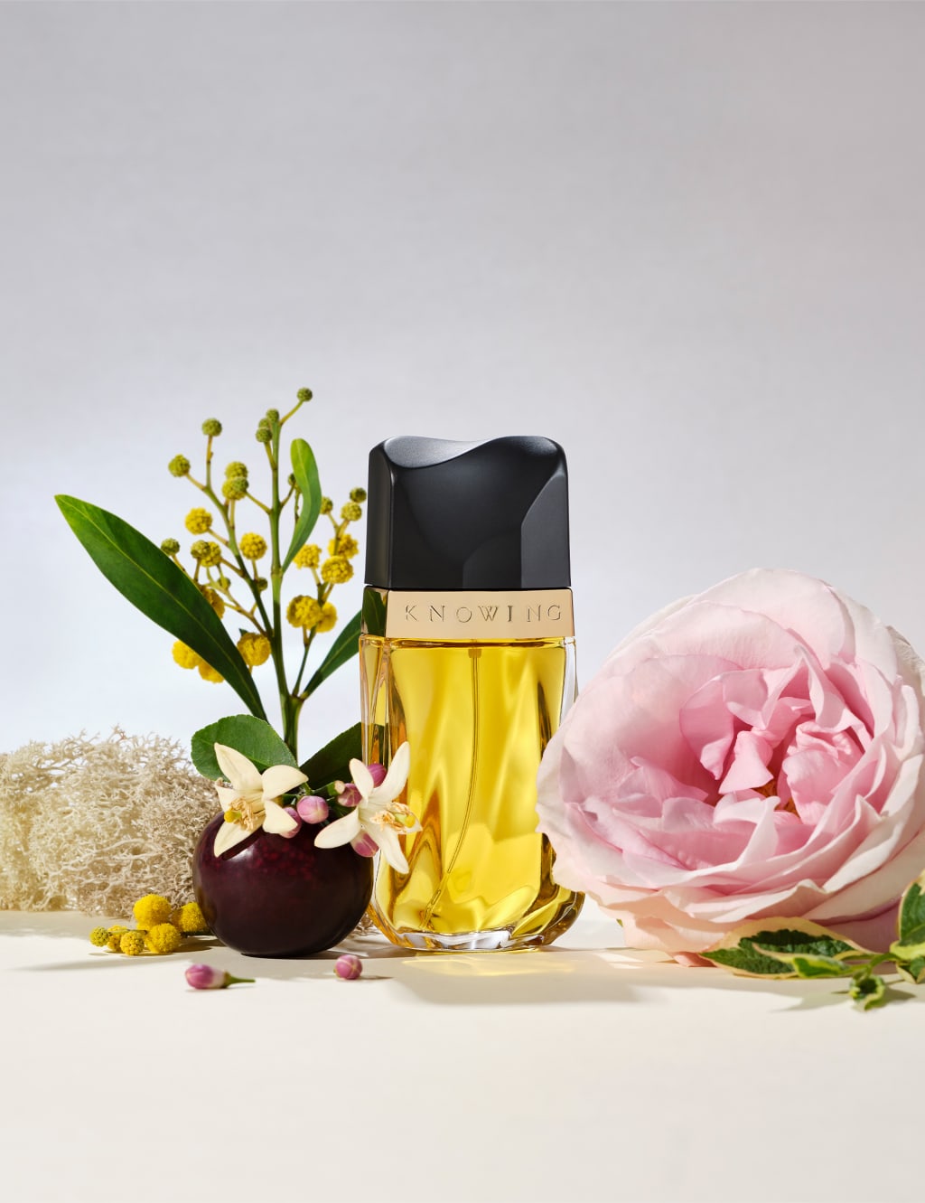 Knowing estee lauder shop