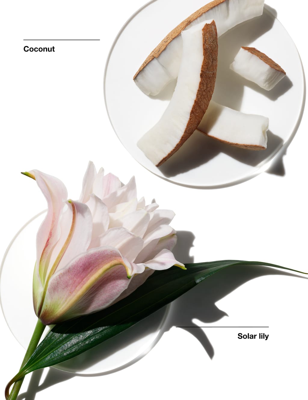 Clinique My Happy™ Lily of the Beach 15ml 2 of 5