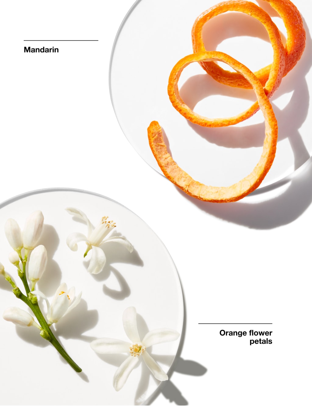 Clinique My Happy™ Baby Bouquet 15ml 2 of 5
