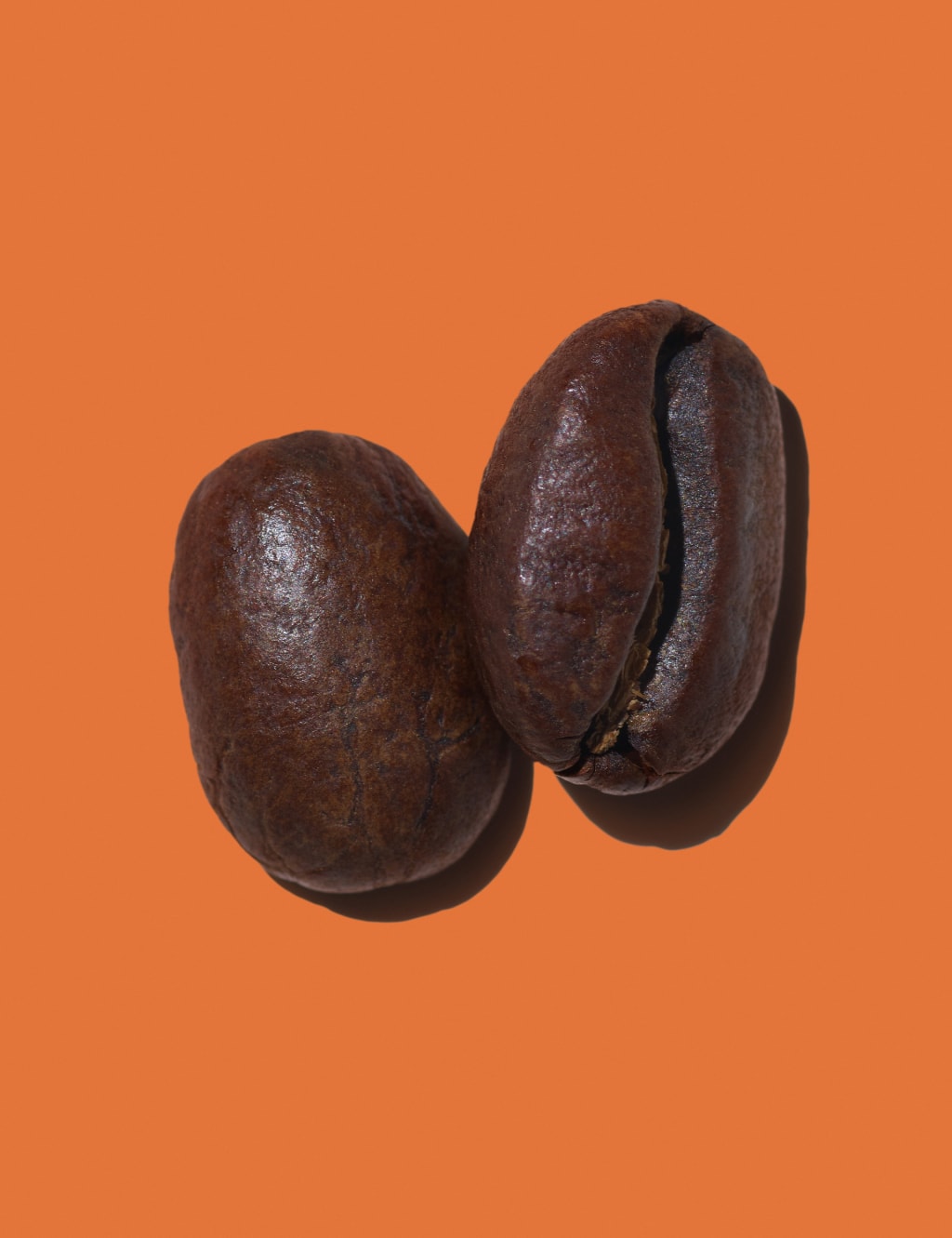 Meet Ginzing™ the Duo That Boosts Radiance 4 of 10