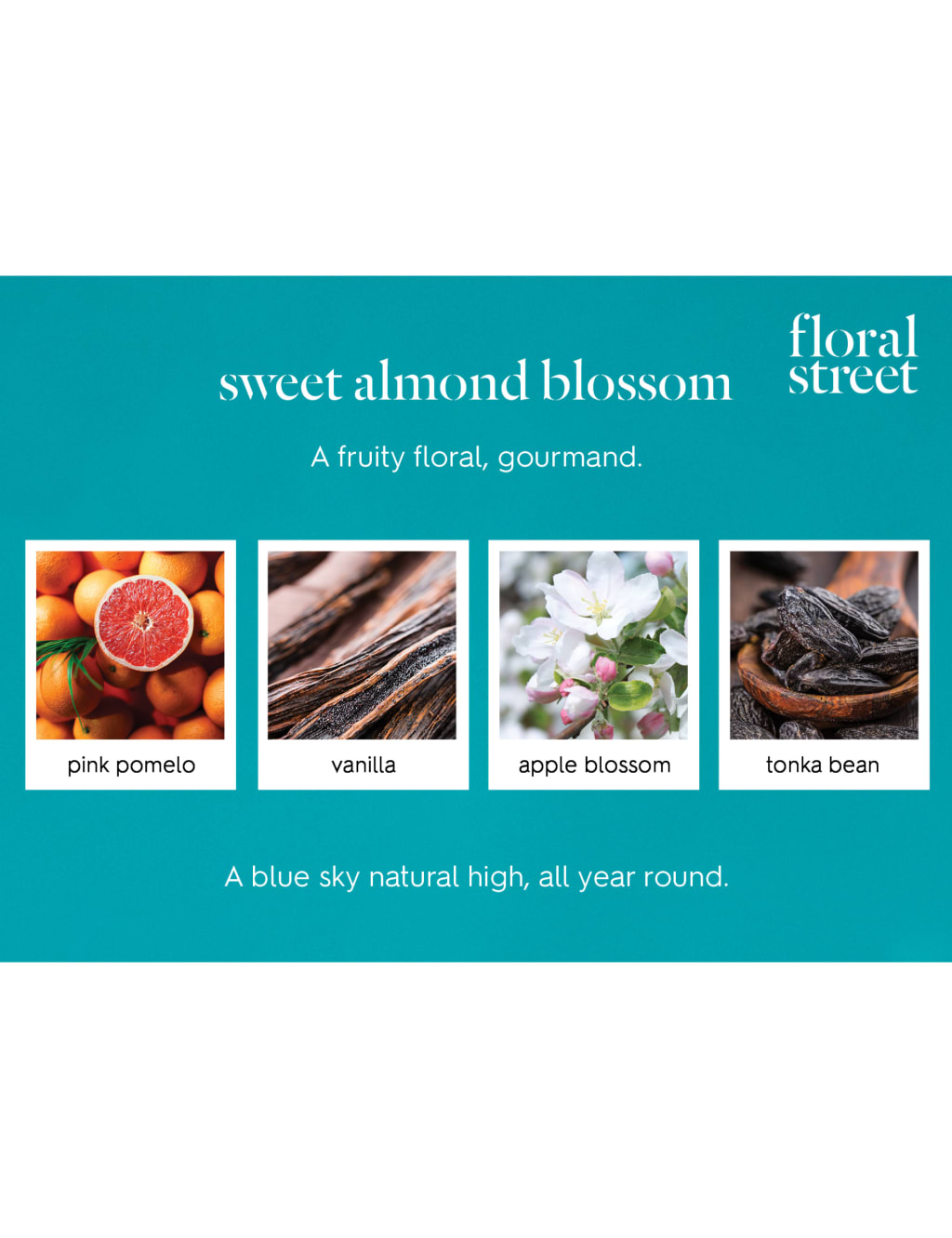 Sweet Almond Blossom 10ml  4 of 4