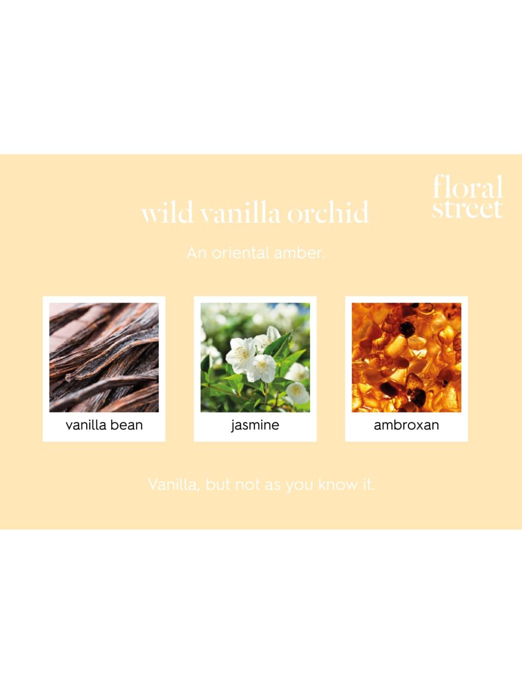 Wild Vanilla Orchid Eau de Parfum 10 ml 4 of 4