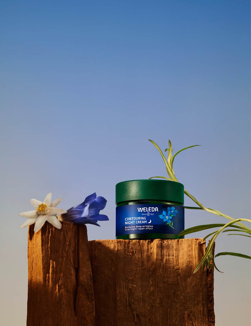 Blue Gentian & Edelweiss Contouring Night Balm 40ml 4 of 5