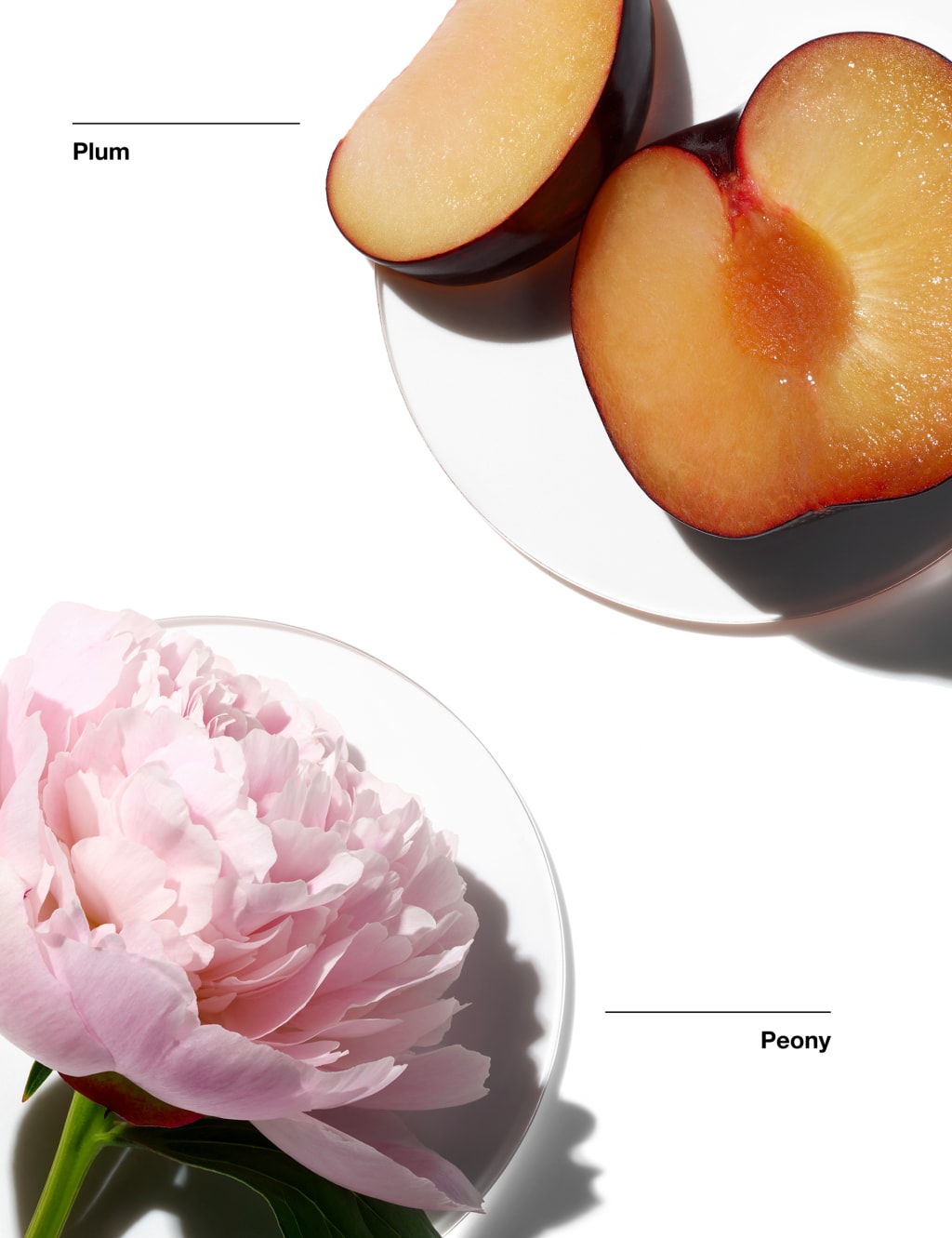 My Happy™  Peony Picnic 100ml 2 of 6