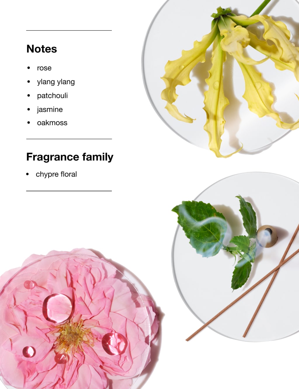 Aromatics Elixir™ Eau de Toilette 100ml 3 of 5