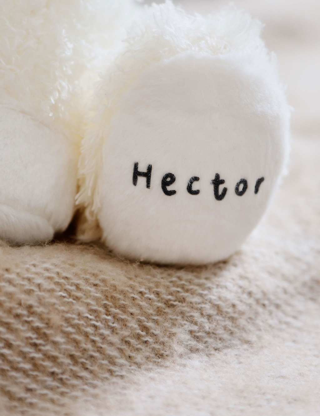 Personalised Lamb Soft Toy 3 of 3