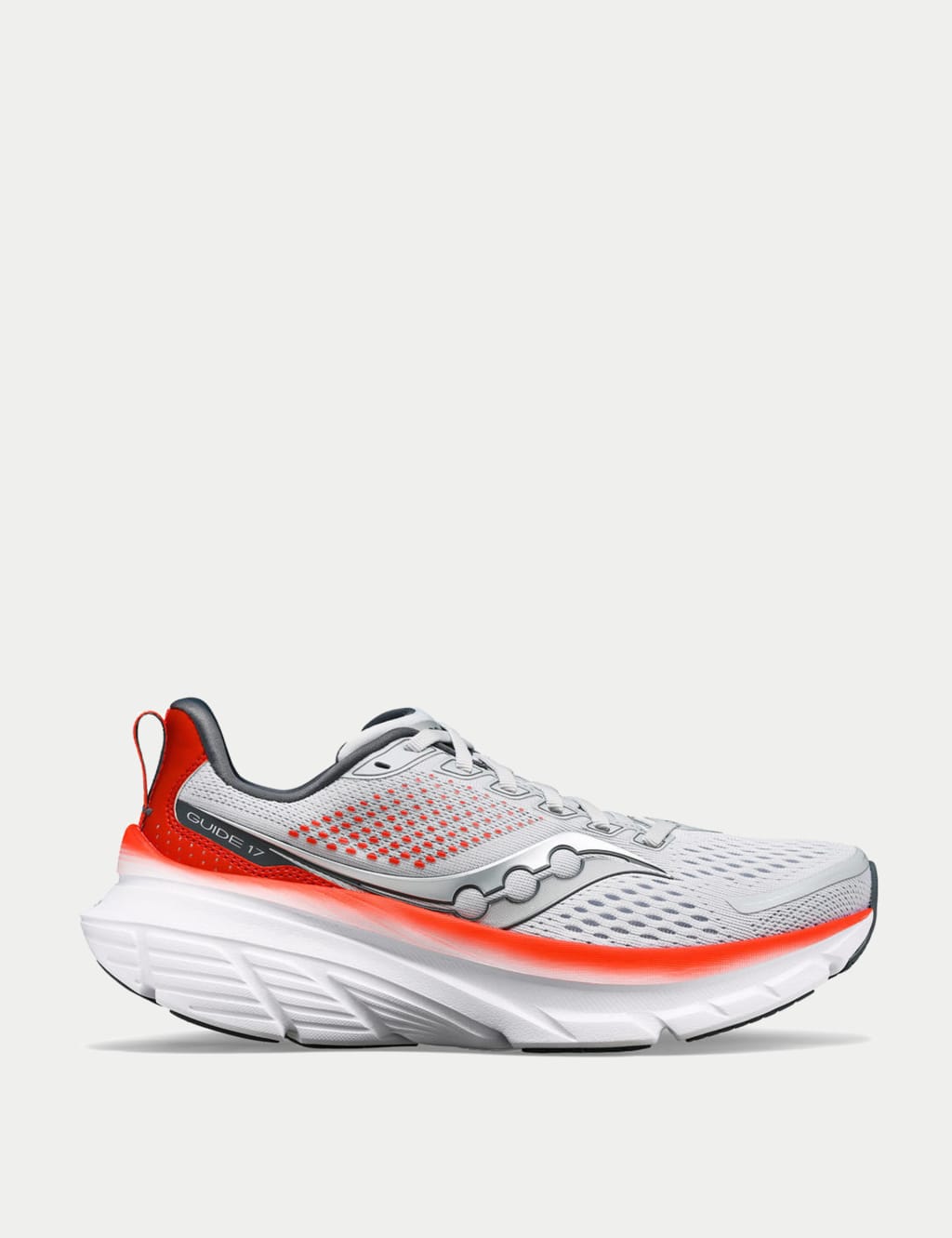 Guide 17 Trainers 1 of 5