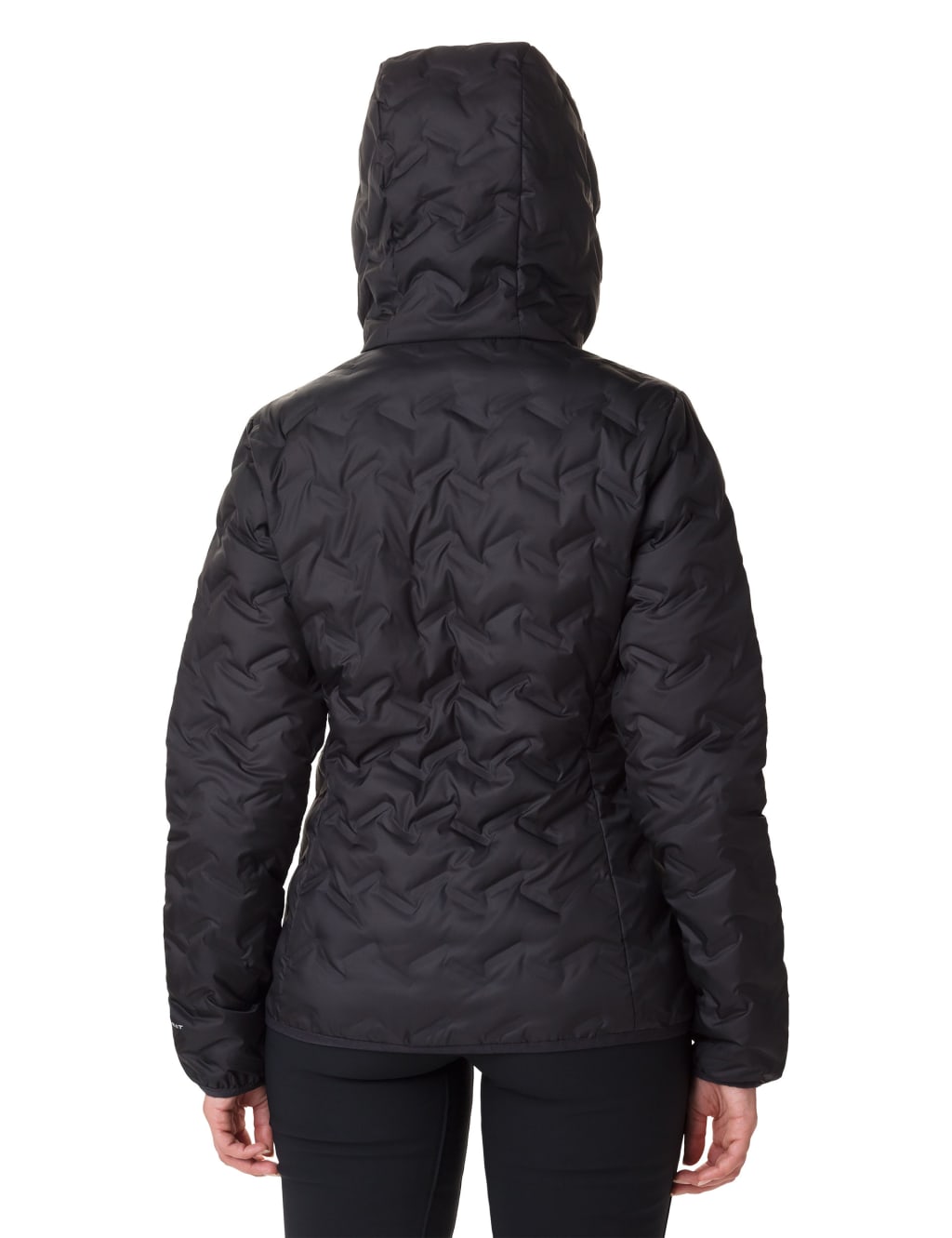 Delta Ridge Down Hooded Puffer Jacket 3 of 4