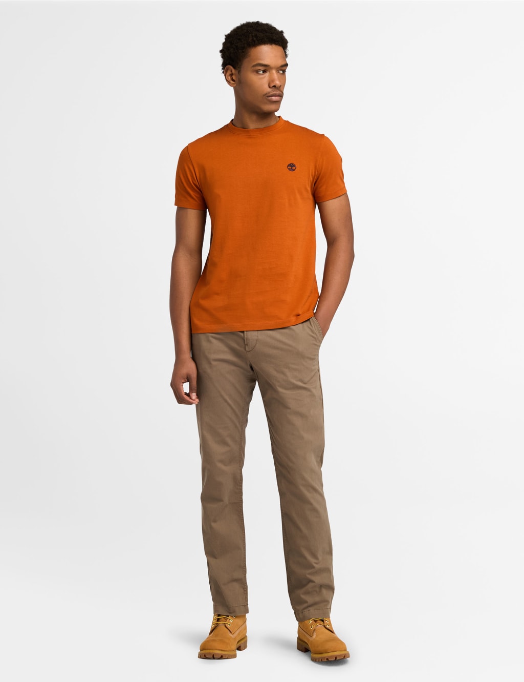 Pure Cotton Crew Neck T-Shirt 3 of 5