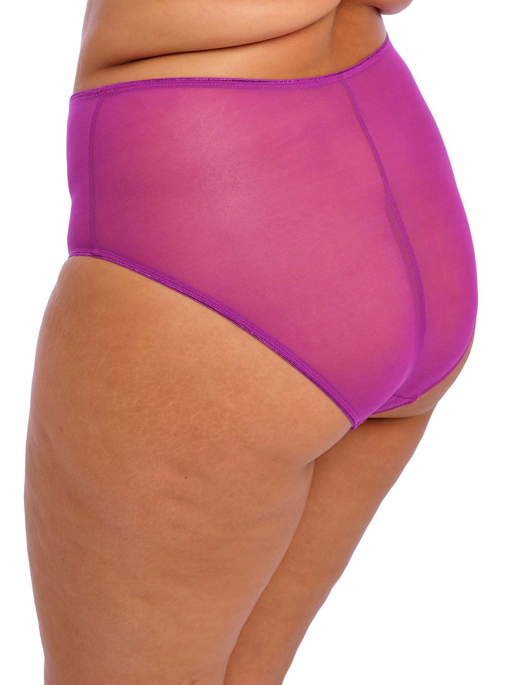 Matilda Mesh & Lace Full Briefs 3 of 5