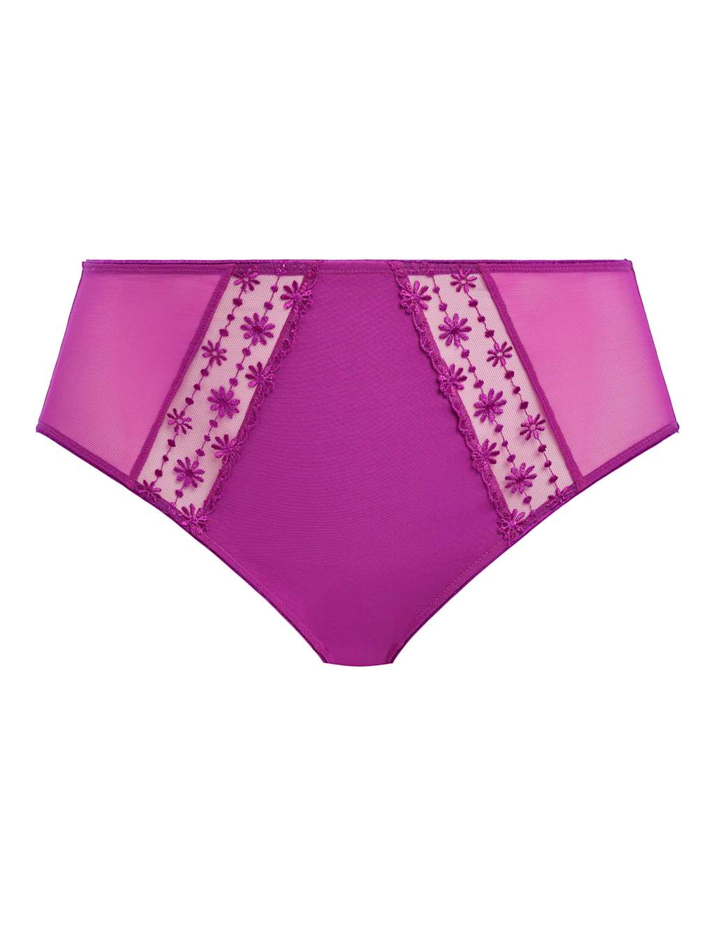 Matilda Mesh & Lace Full Briefs 2 of 5