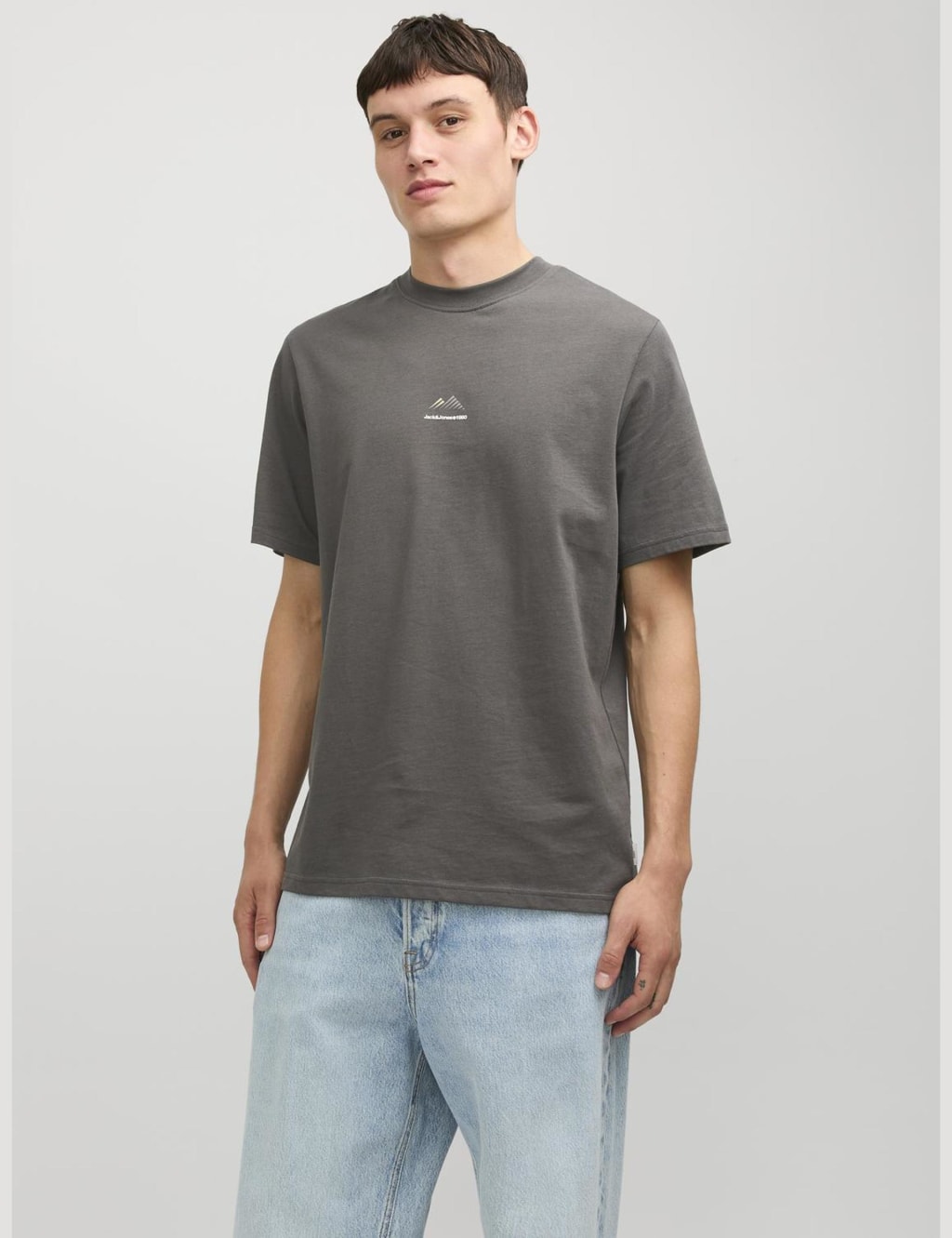 Pure Cotton Crew Neck Mountain Logo T-Shirt 1 of 5