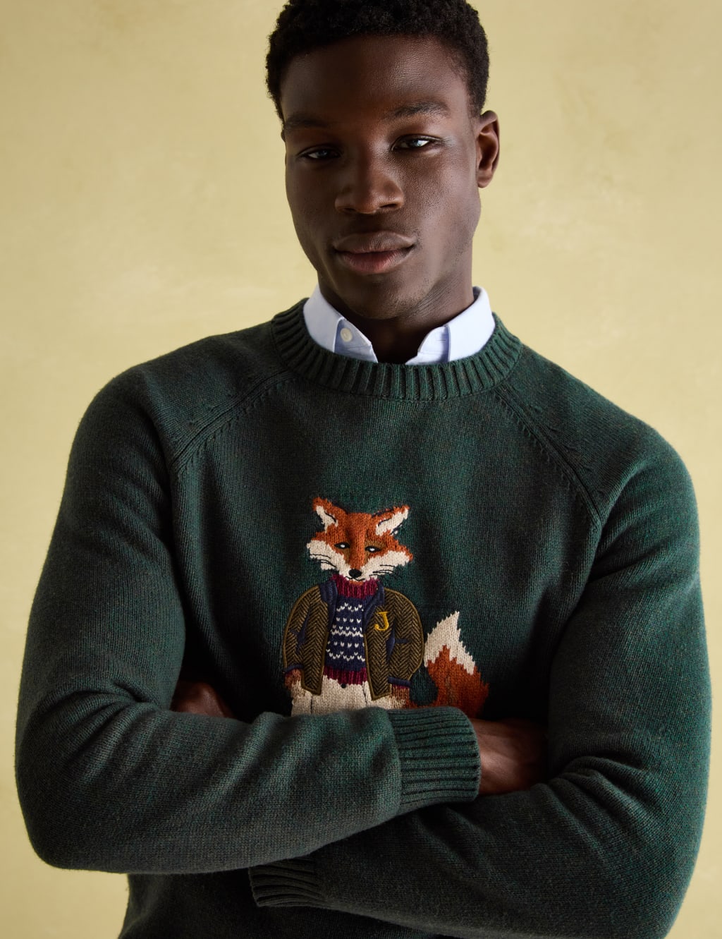 Cotton Rich Crew Neck Jumper with Wool 5 of 7