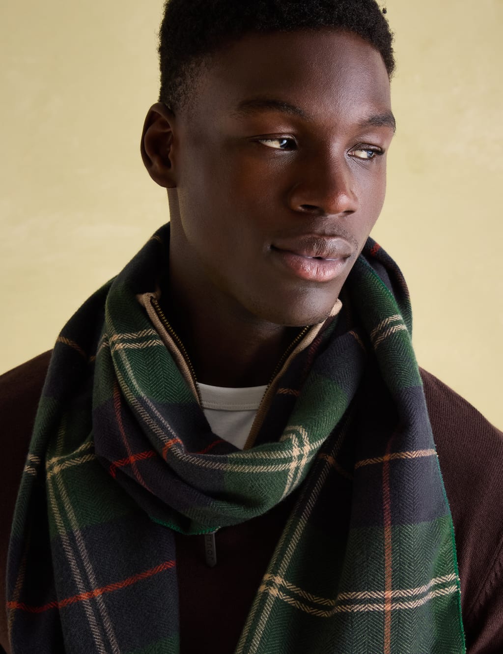 Checked Scarf 2 of 2