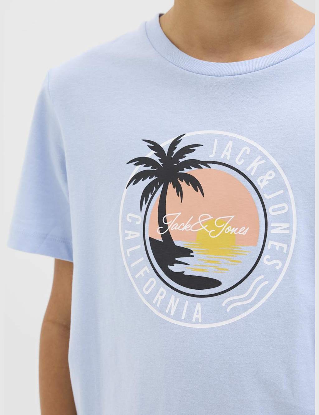 Pure Cotton Palm Graphic T-Shirt (8-16 Yrs) 6 of 7