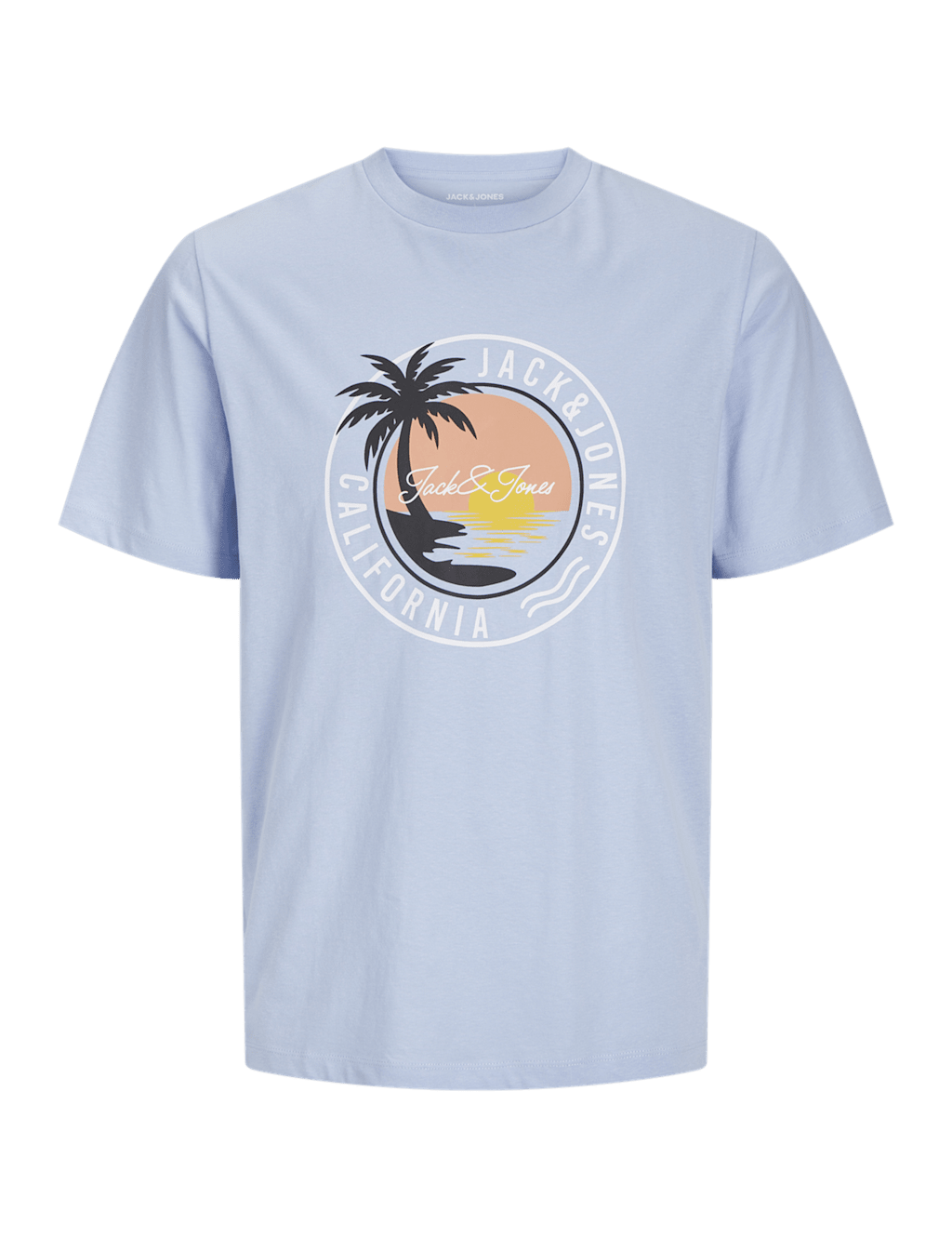 Pure Cotton Palm Graphic T-Shirt (8-16 Yrs) 2 of 7