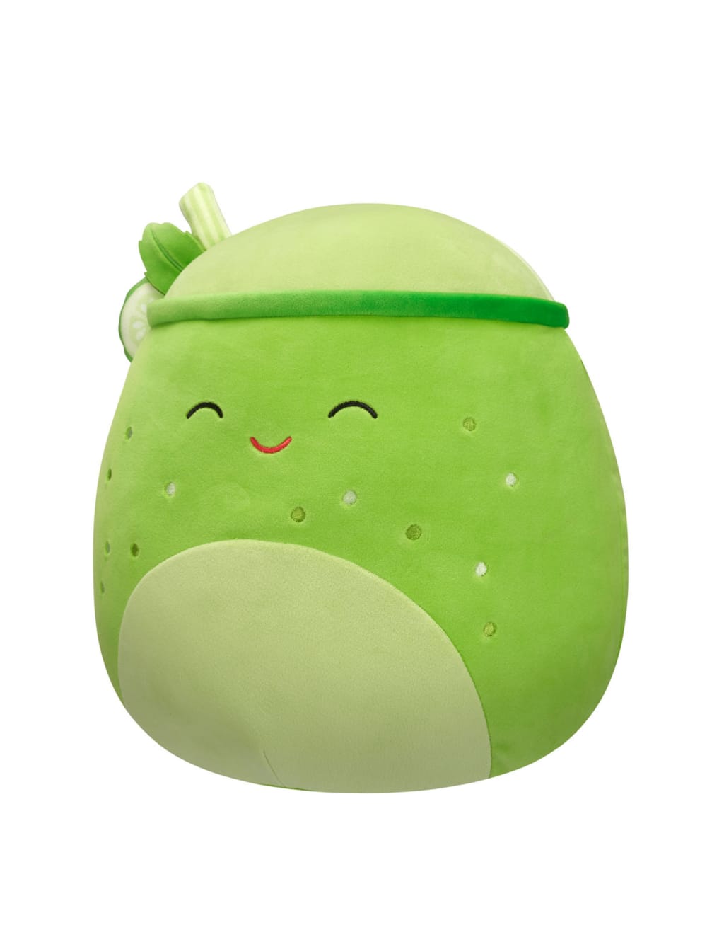 Medium Townes the Green Juice Drink Plushie (0+ Yrs) 3 of 5