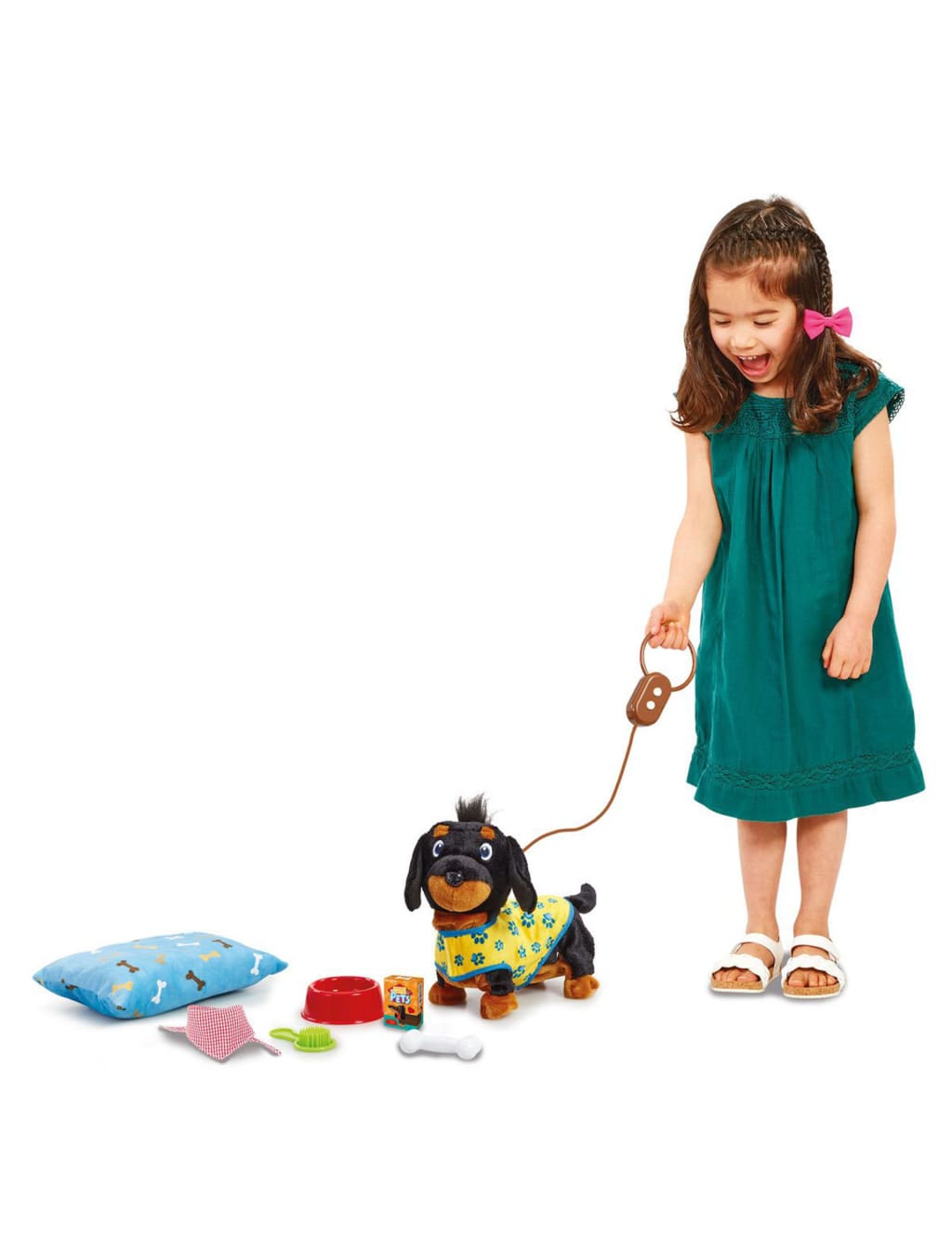Wiggle Jiggle Dachshund (3+ Yrs) 3 of 3
