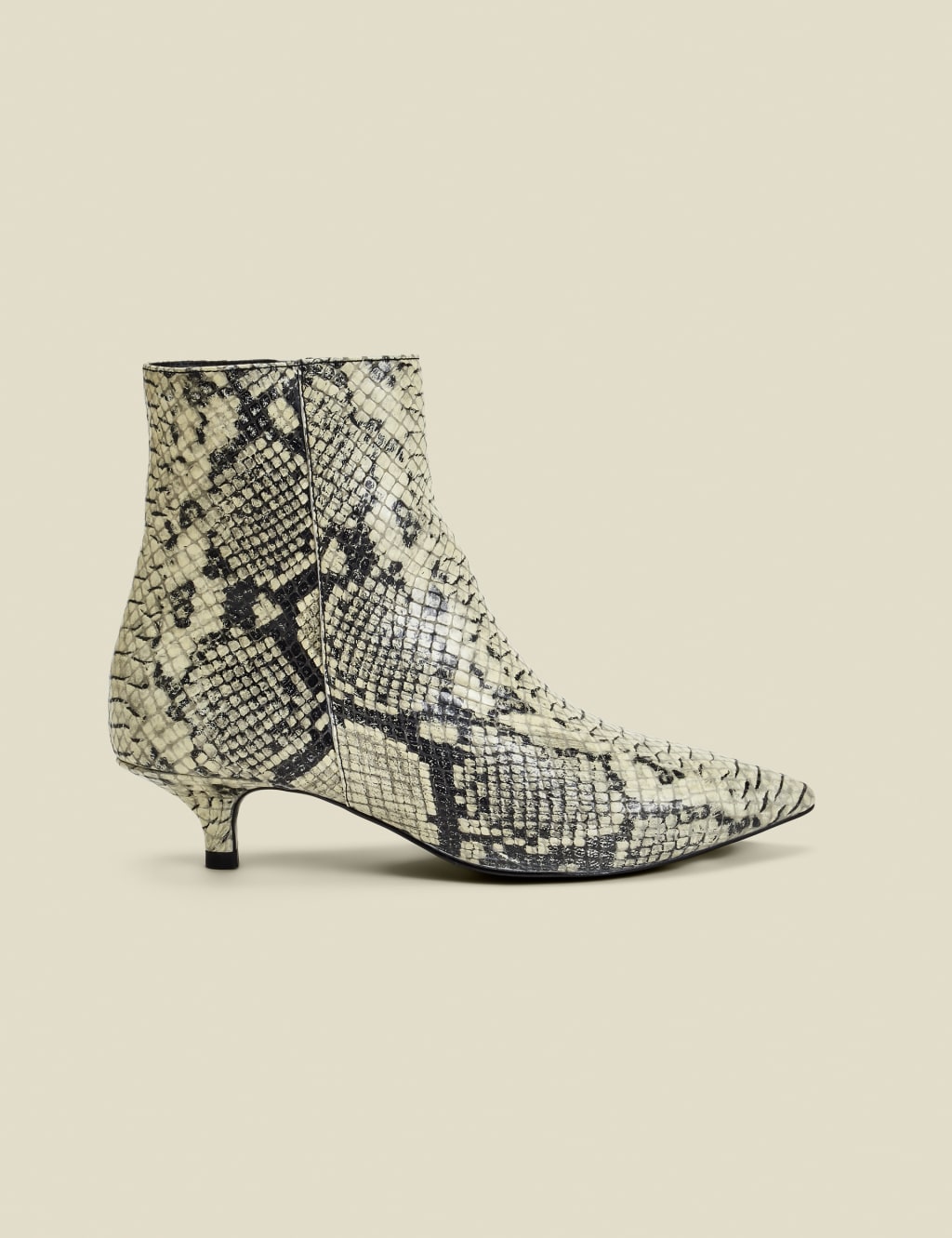 Leather Kitten Heel Pointed Ankle Boots 1 of 6