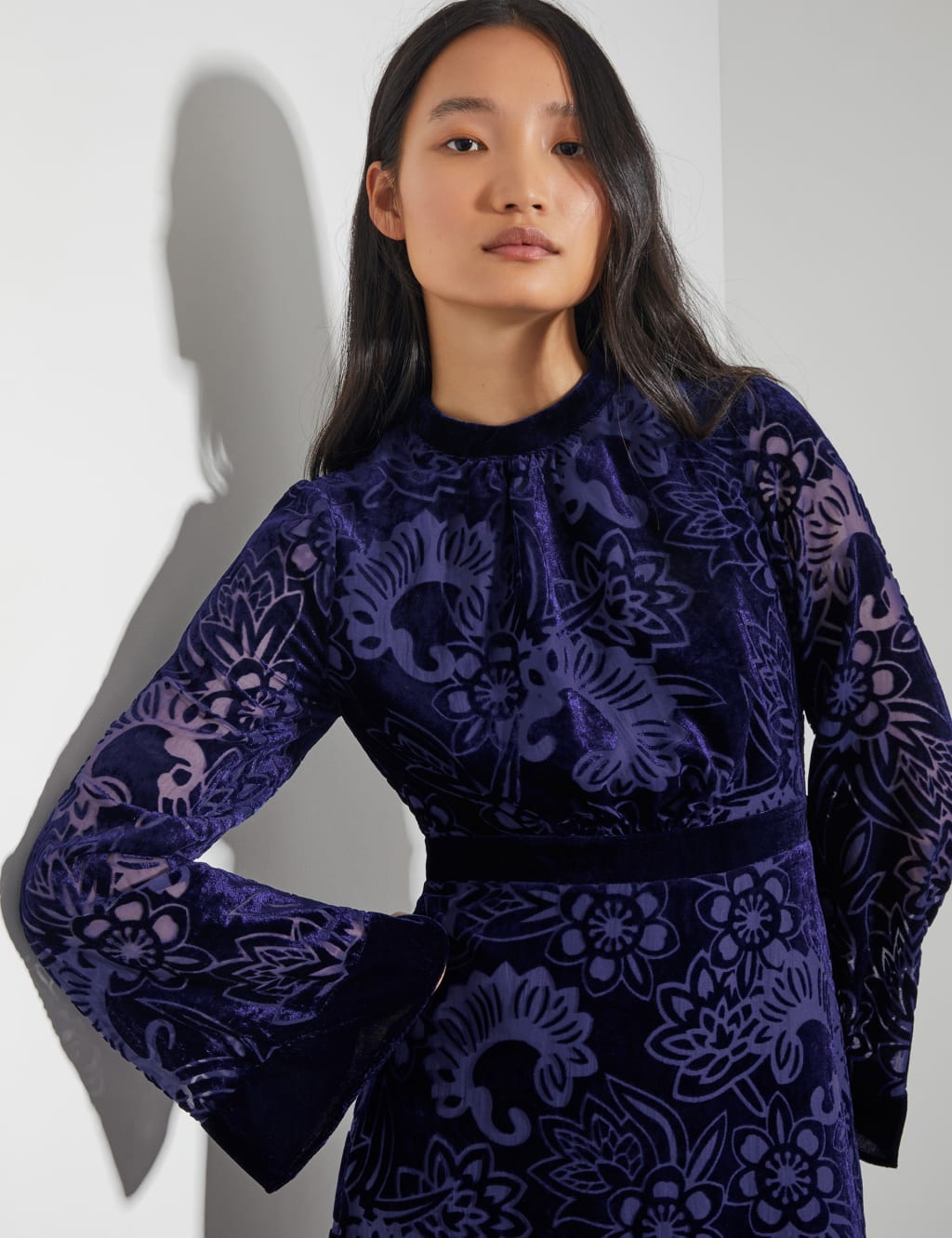Velvet Printed Midi Waisted Dress 3 of 4