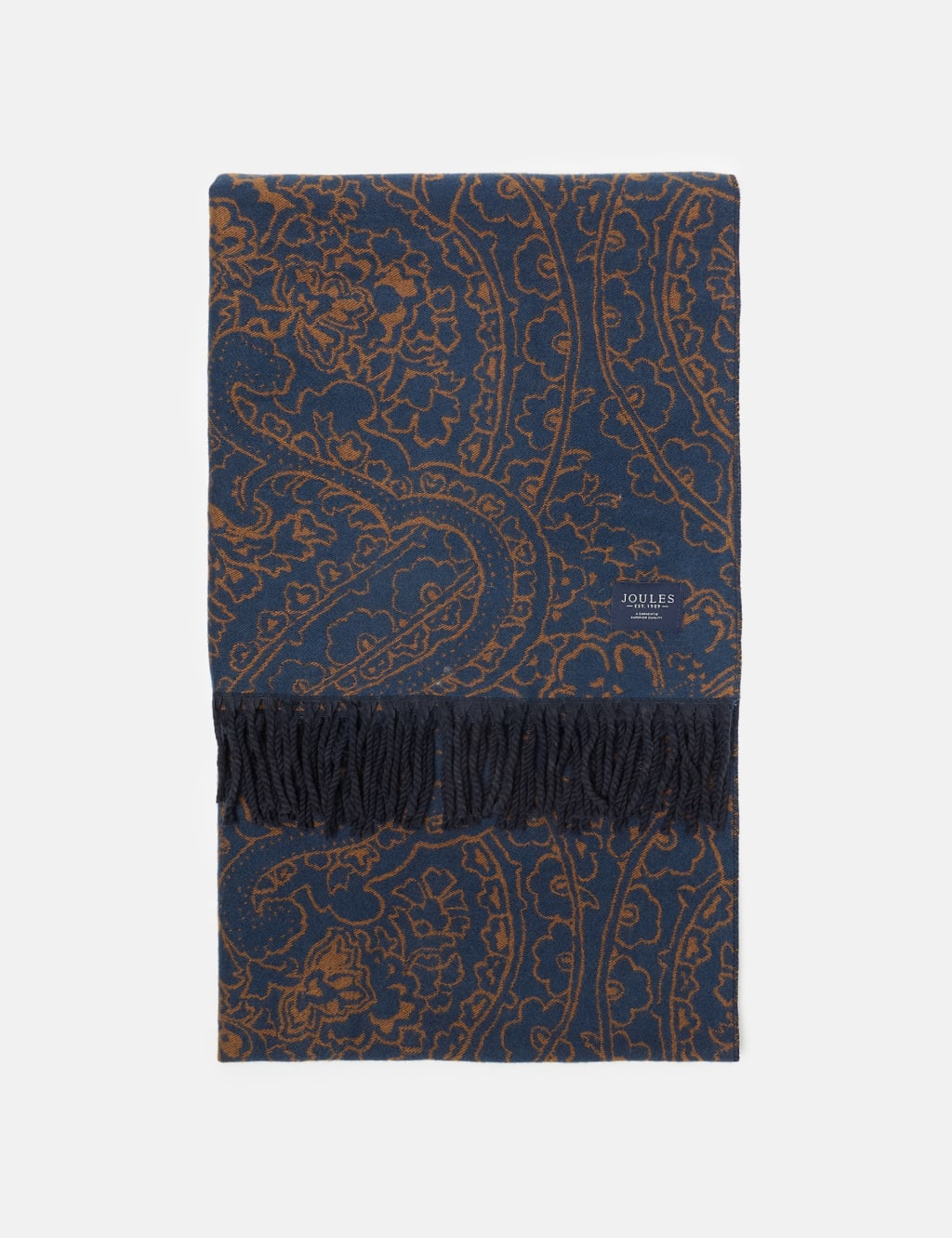 Paisley Reversible Fringed Scarf 4 of 5