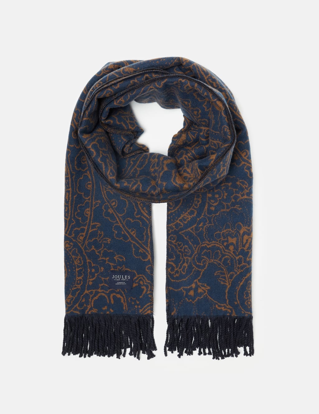 Paisley Reversible Fringed Scarf 2 of 5