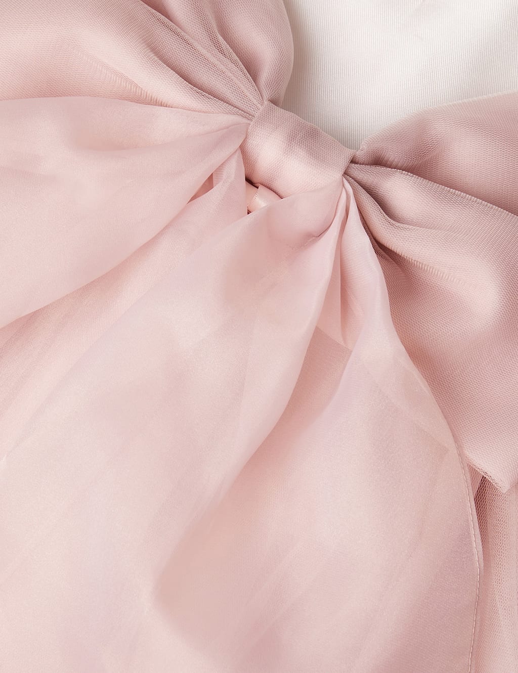 Organza Occasion Dress (3-13 Yrs) 4 of 4