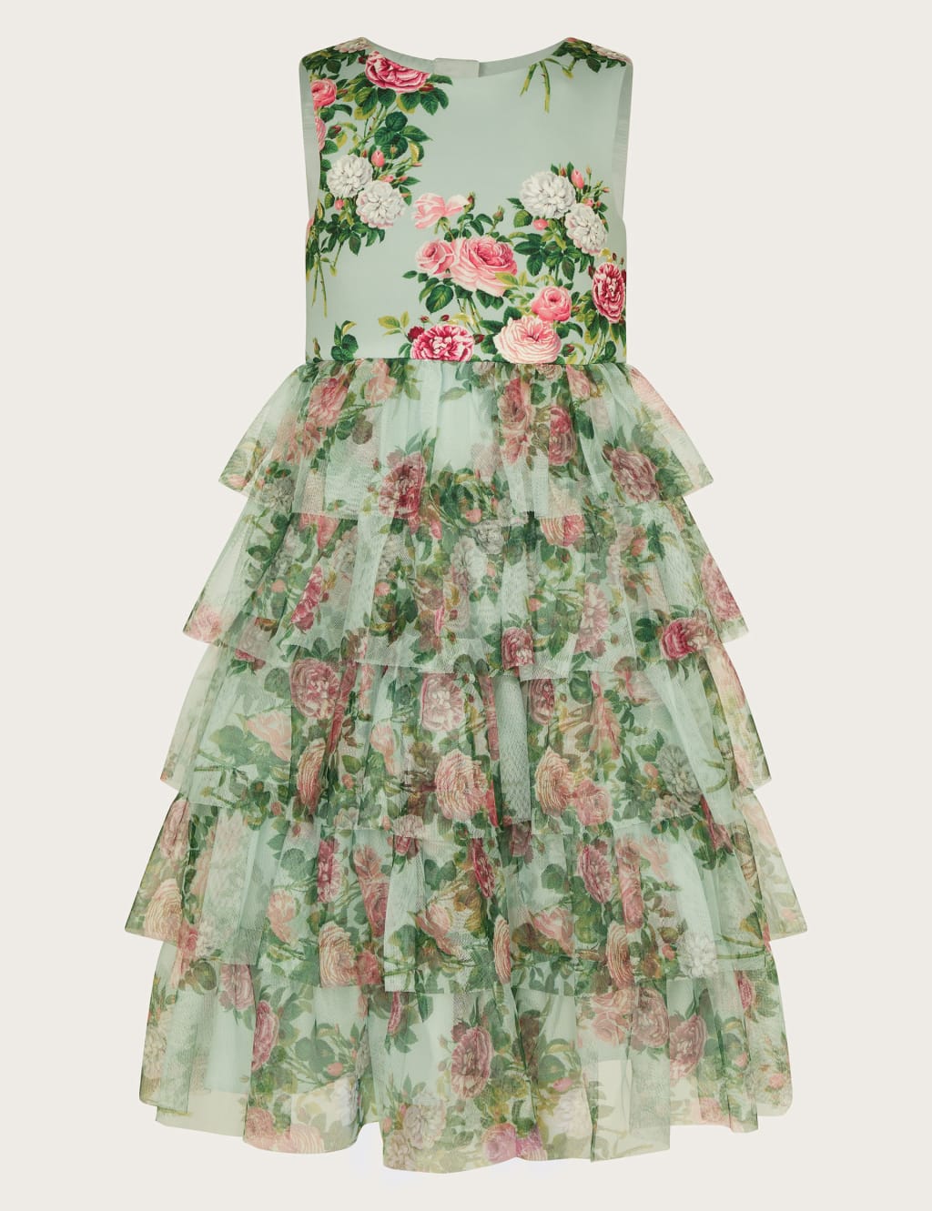 Floral Tiered Tulle Occasion Dress (3-13 Yrs) 1 of 3