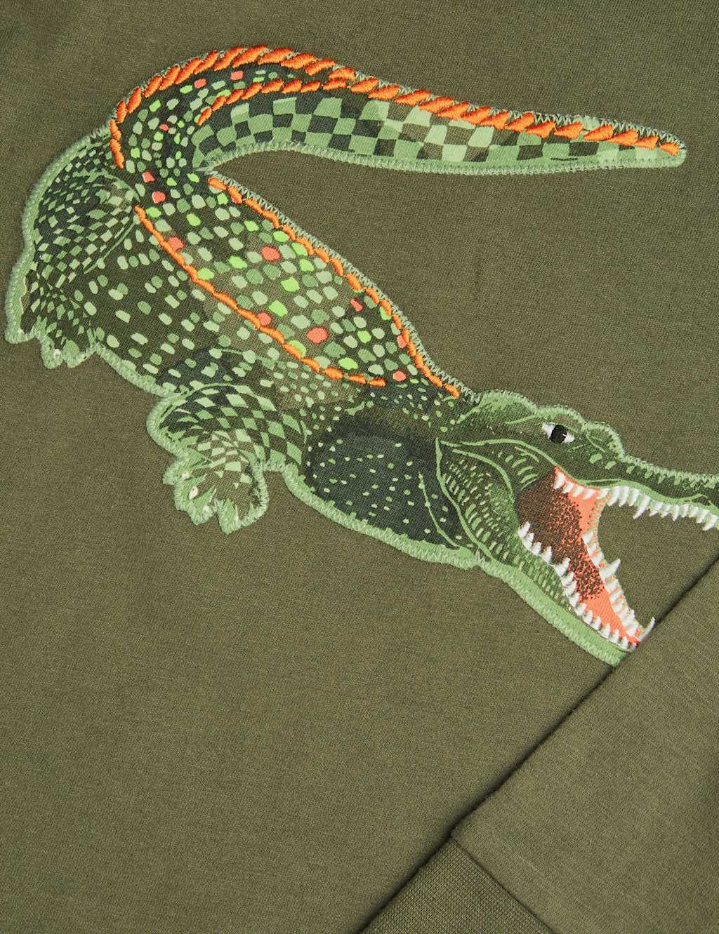 Pure Cotton Crocodile T-Shirt (2-13 Yrs) 2 of 3