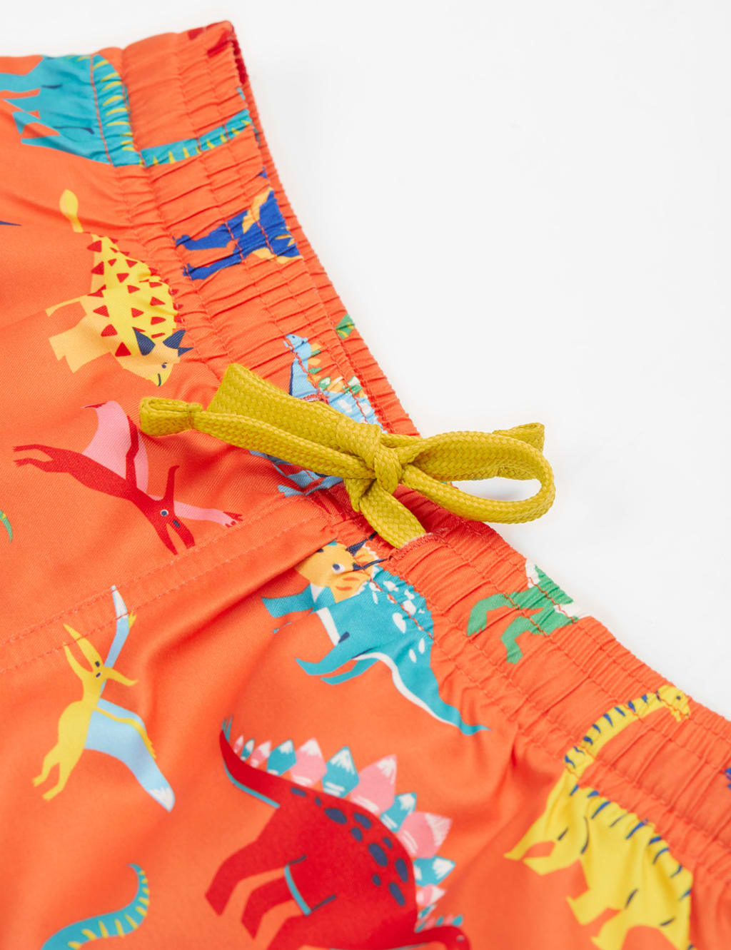 Dinosaur Swim Shorts (2-10 Yrs) 3 of 4