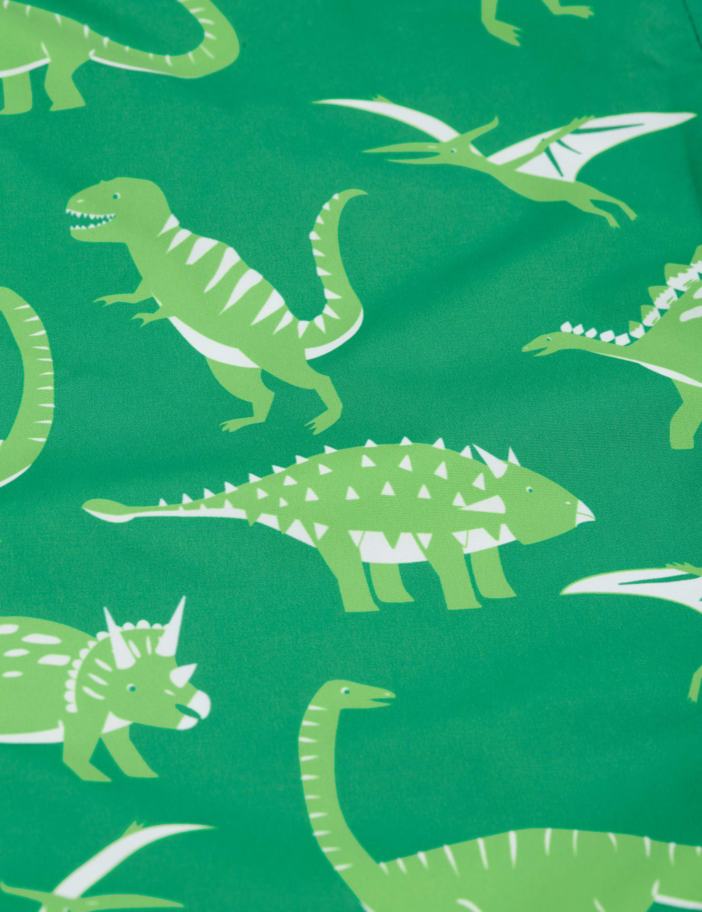 Dinosaur Joggers (1-10 Yrs) 5 of 5