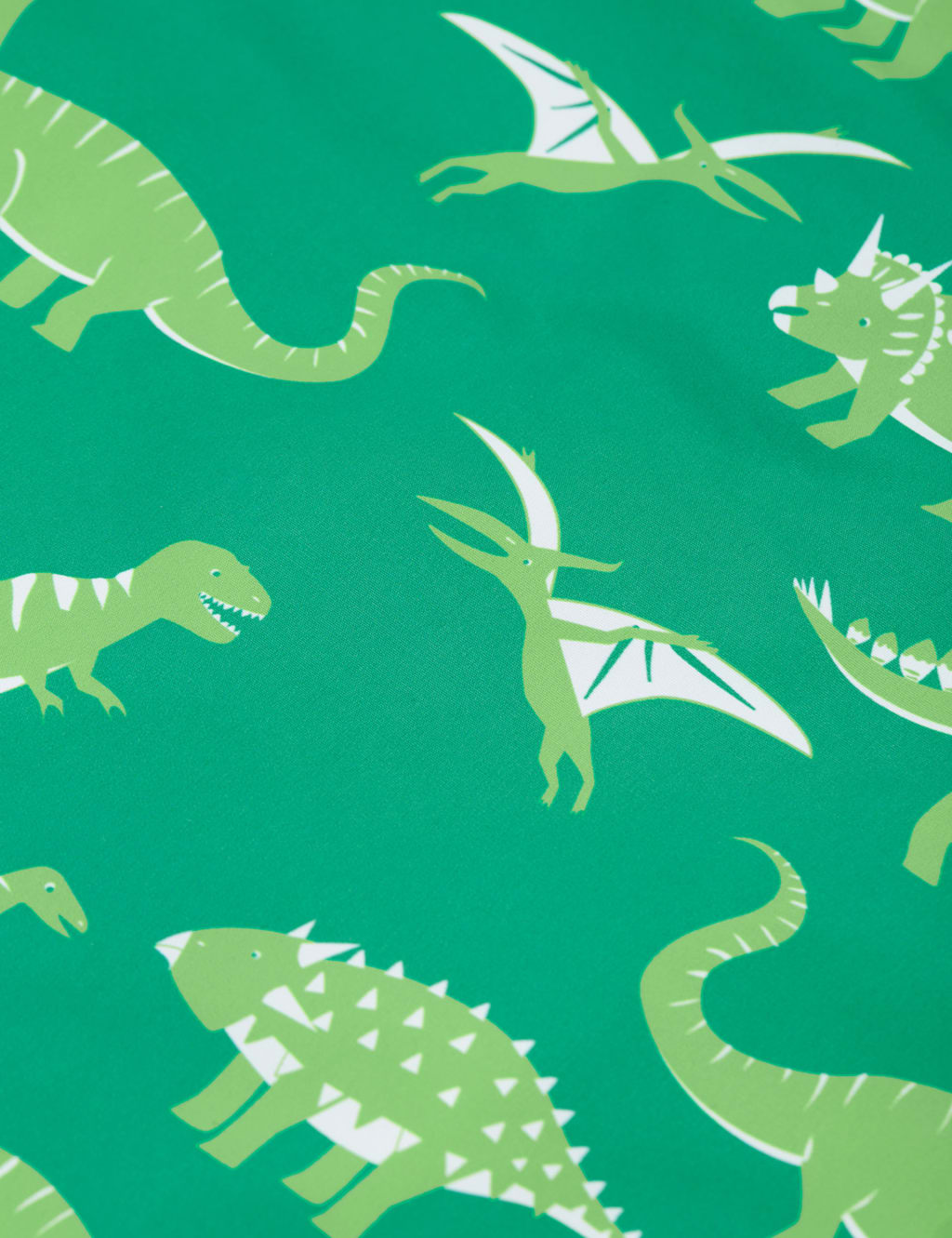 Hooded Dinosaur Raincoat (1-10 Yrs) 7 of 7
