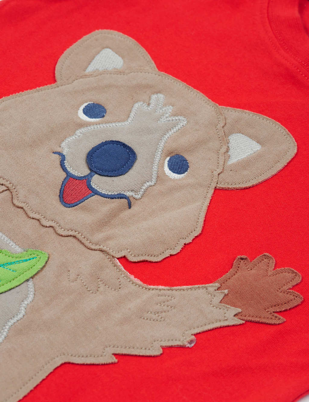Pure Cotton Animal Appliqué T-Shirt (0-5 Yrs) 2 of 4