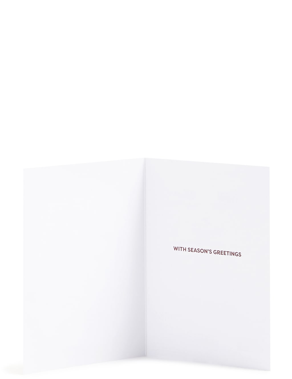 Winter Scene Christmas Charity Cards Pack of 20 4 of 6