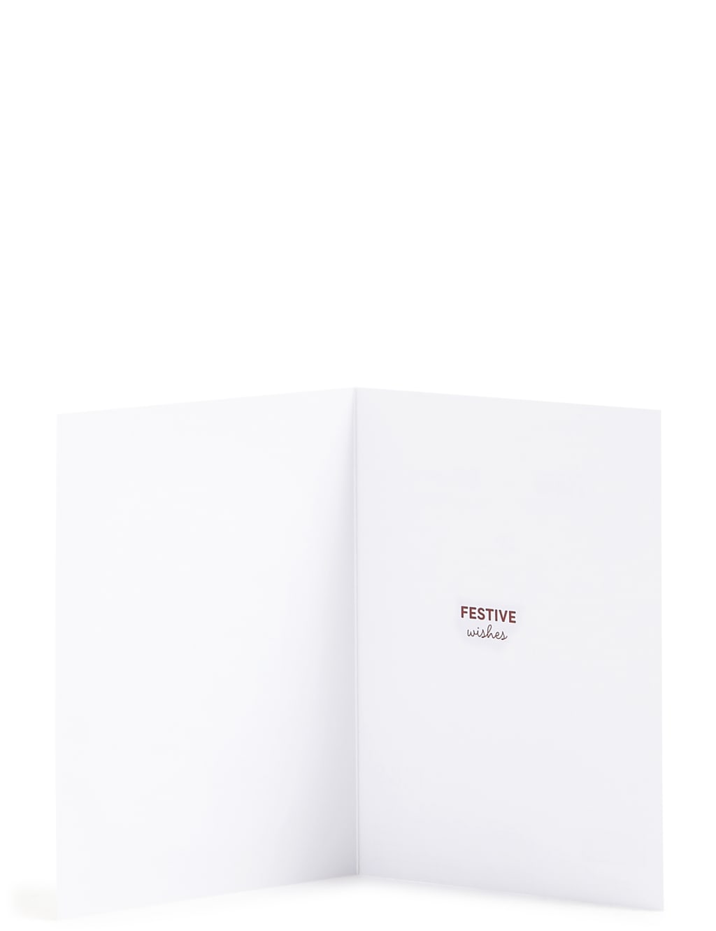 Winter Scene Christmas Charity Cards Pack of 20 5 of 6
