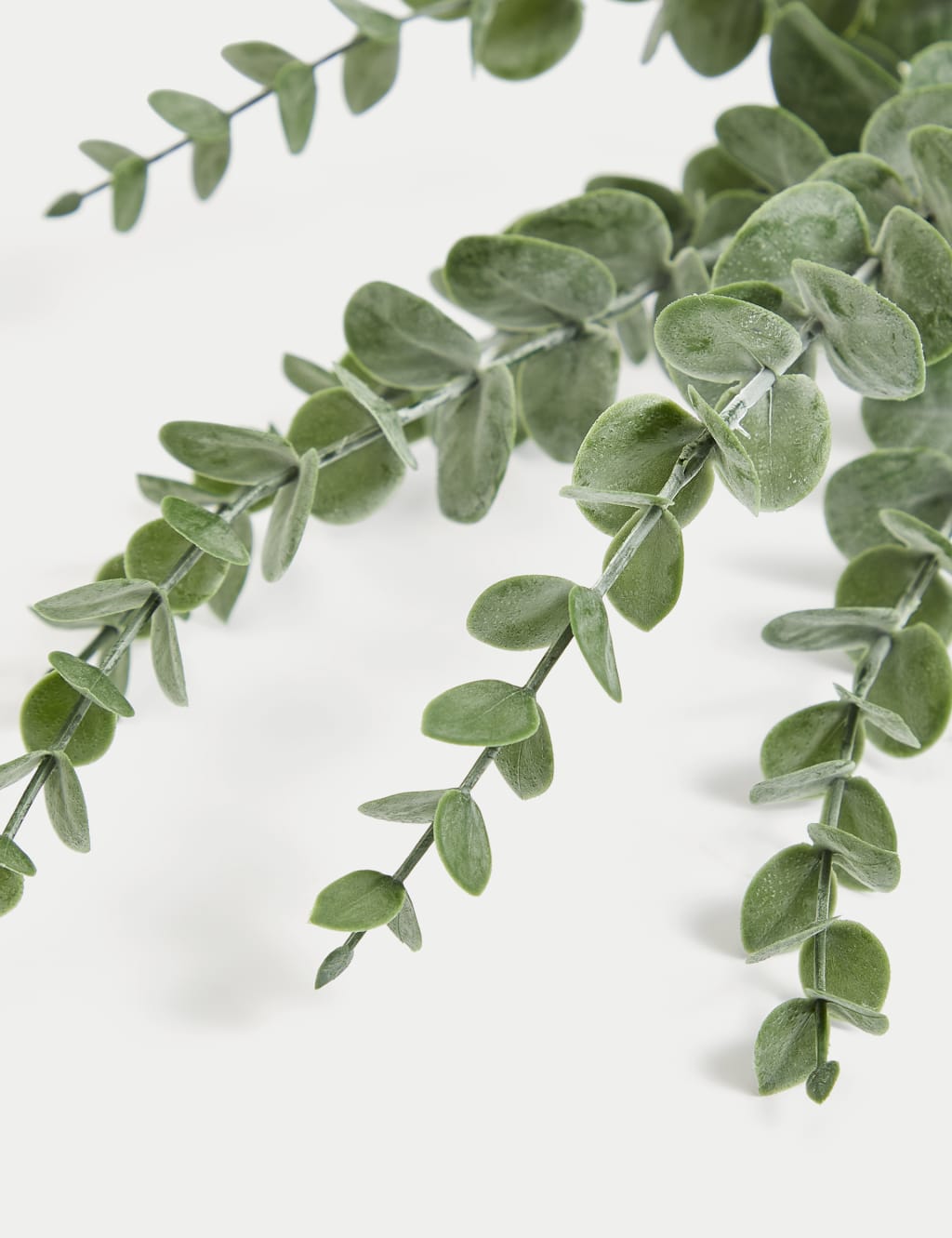 Set of 3 Artificial Eucalyptus Single Stems 4 of 4