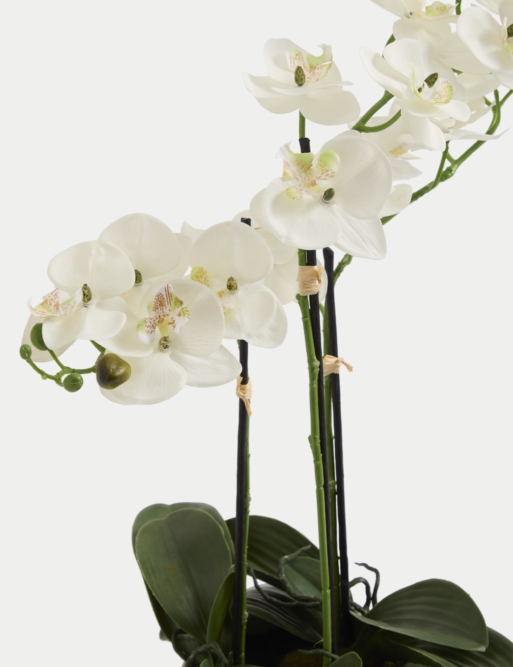 Artificial Large Orchid Plant 5 of 7