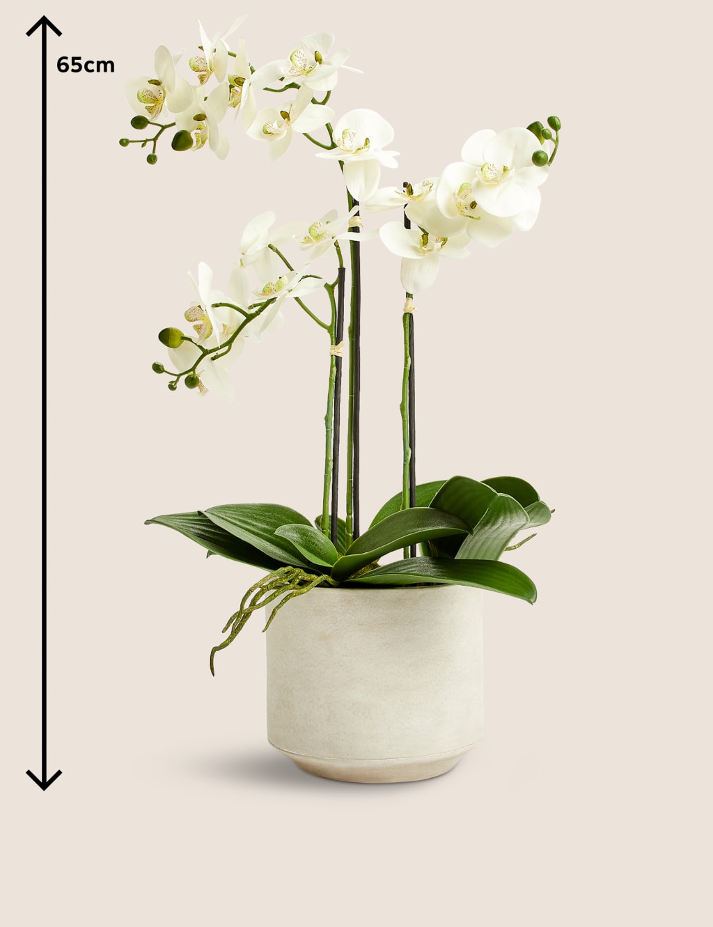 Marks and spencer artificial plants discount