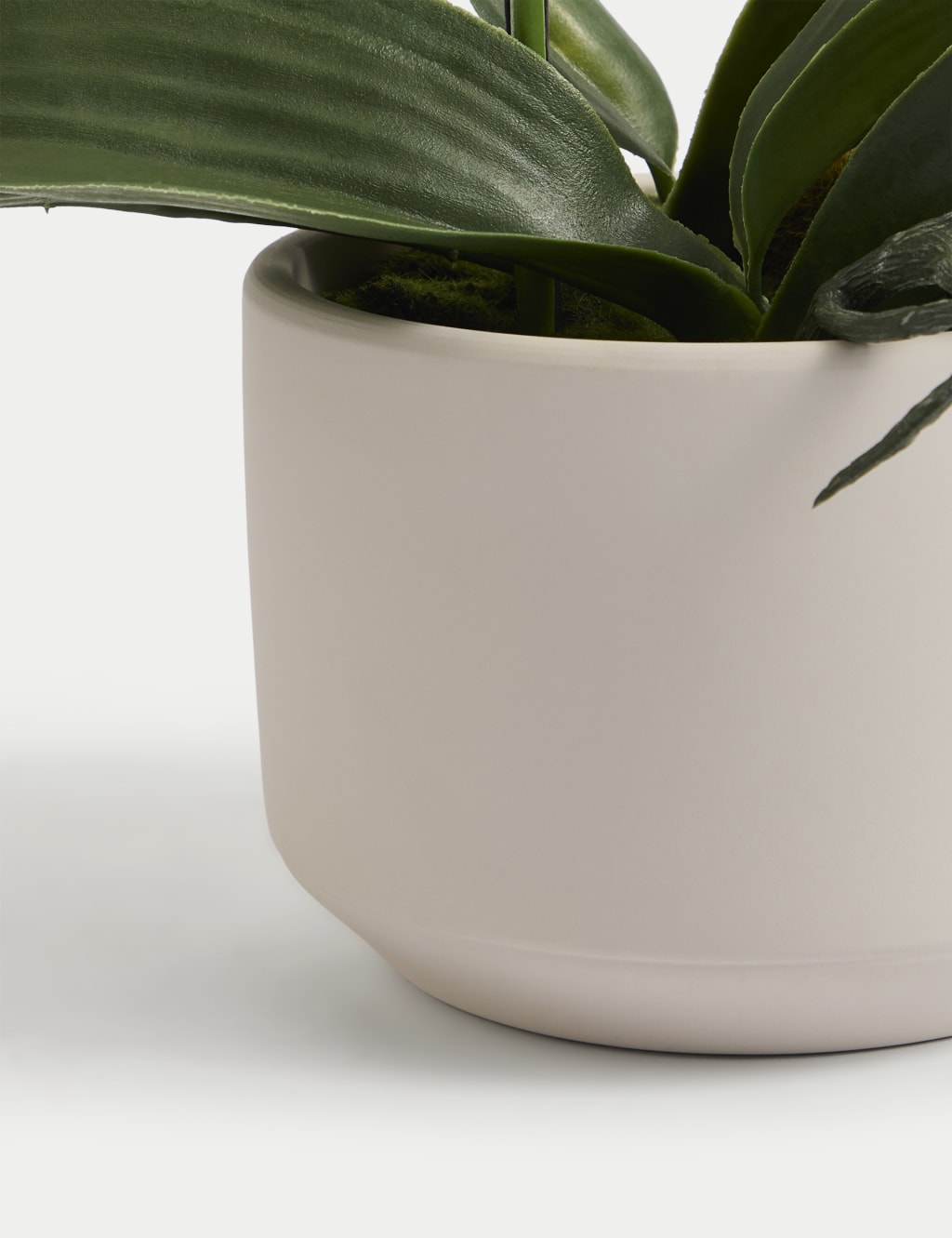 Artificial Real Touch Medium Orchid in Ceramic Pot 3 of 4