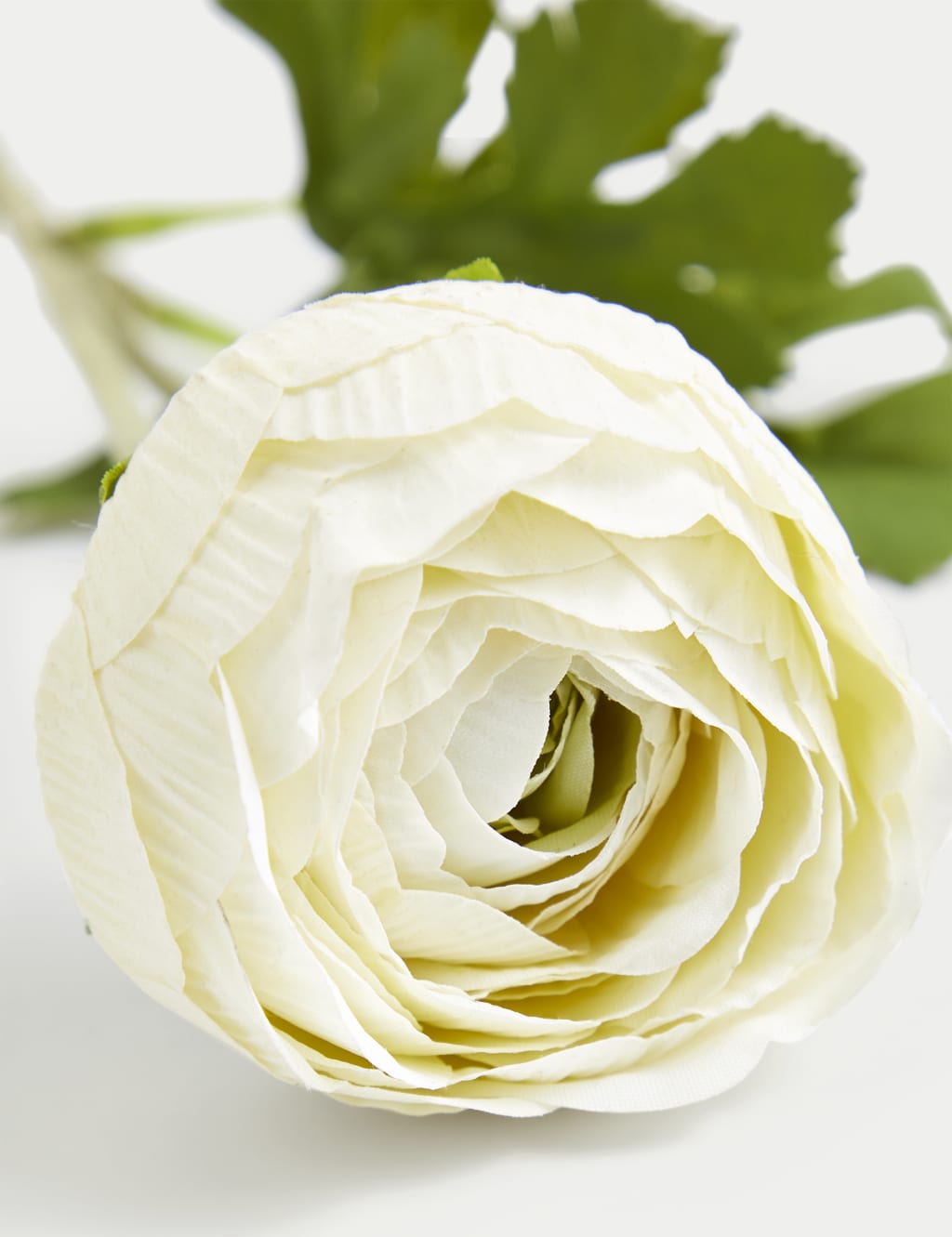 Set of 2 Artificial Real Touch Ranunculus Stems 4 of 4