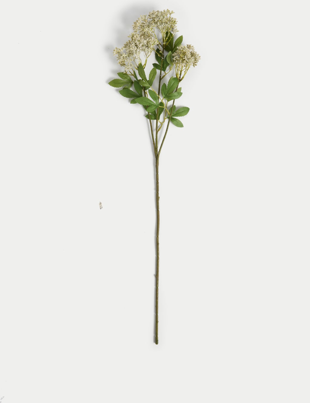 Set of 2 Artificial Cow Parsley Single Stems 3 of 4