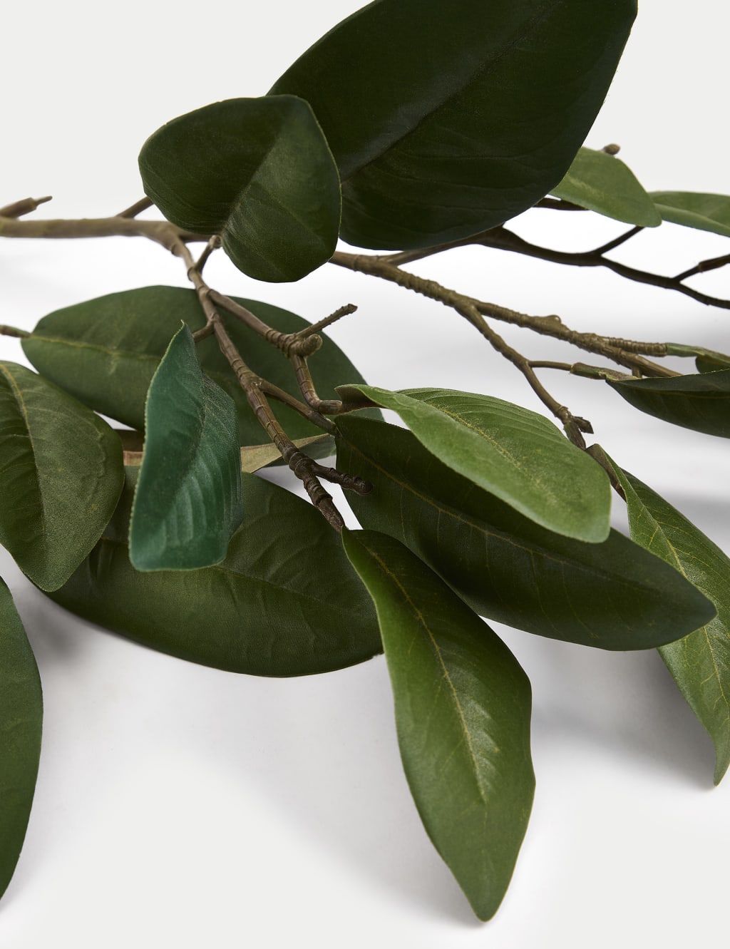 Artificial Laurel Single Stem 2 of 2