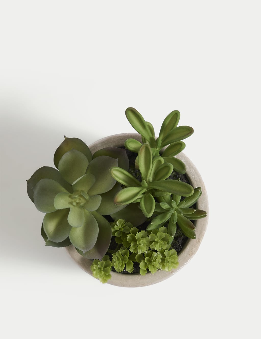Artificial Succulent Garden 4 of 6