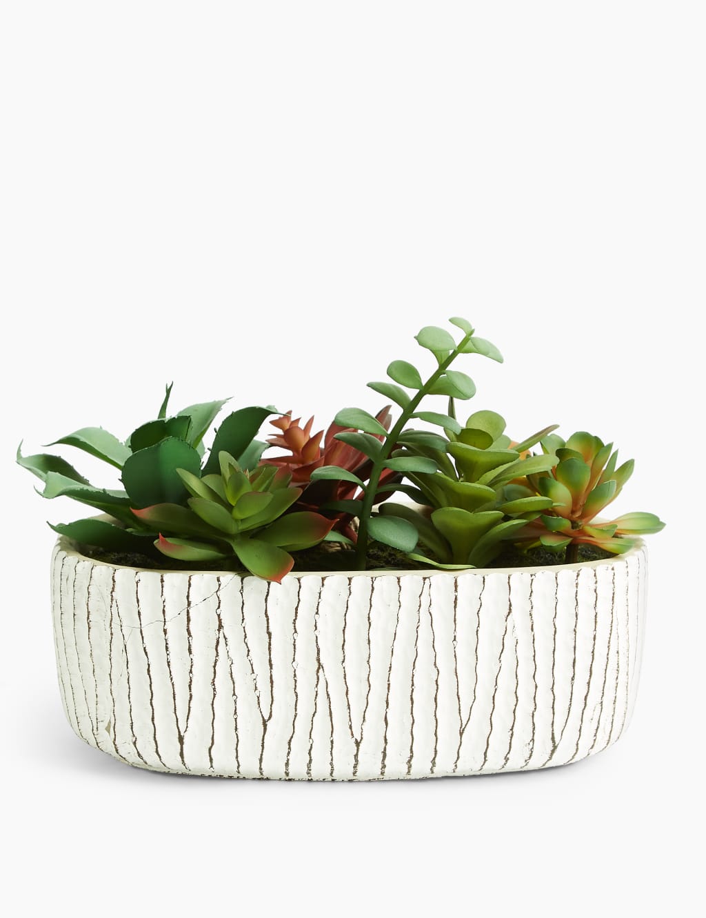 Artificial Succulent Garden 1 of 3