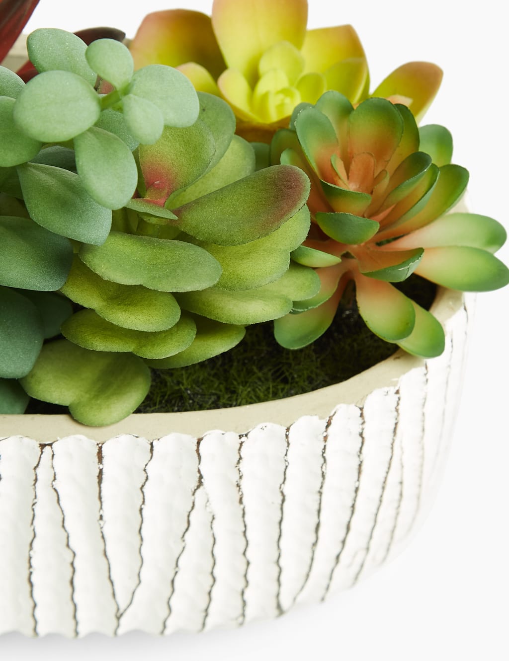 Artificial Succulent Garden 2 of 3
