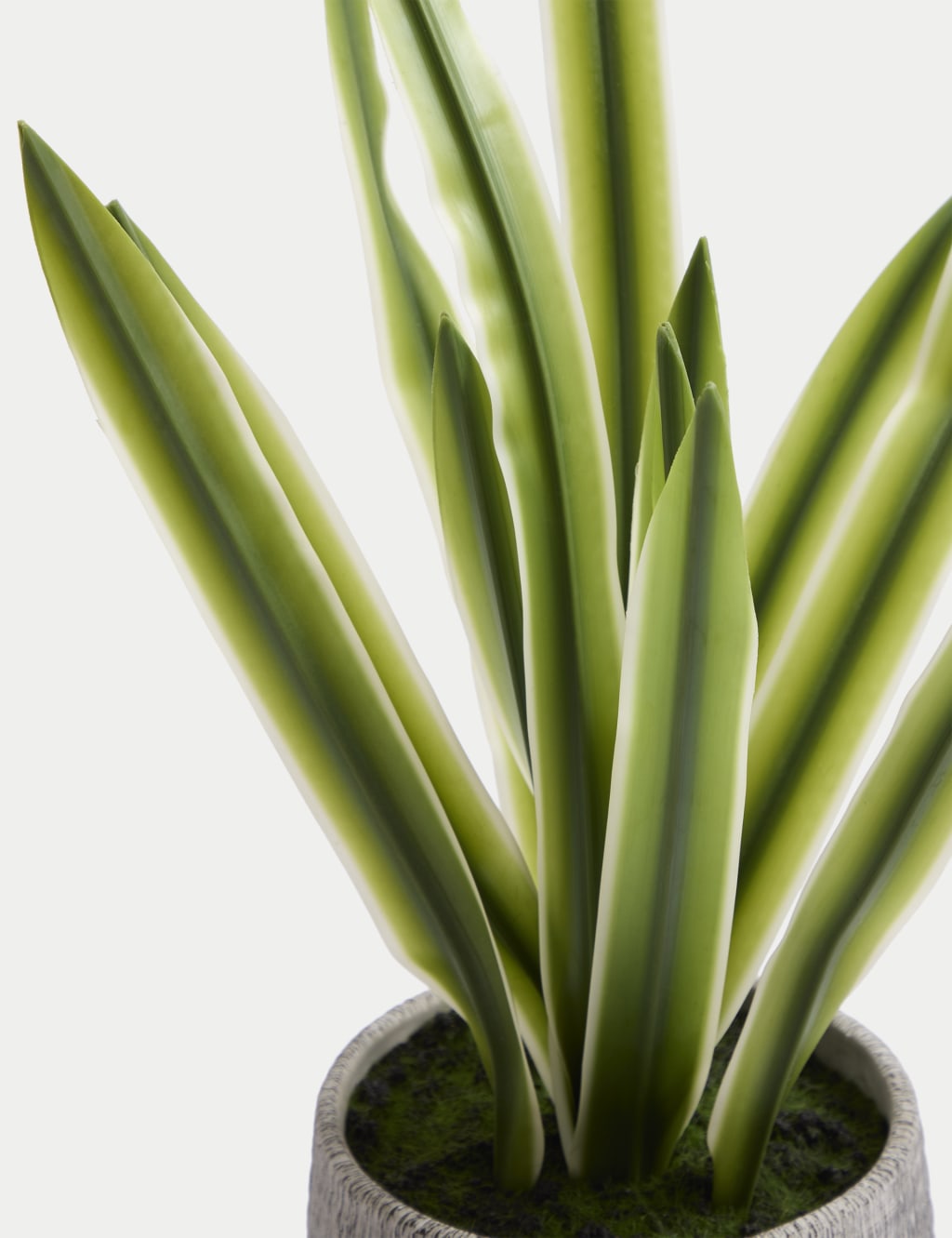 Artificial Natural Lily in Textured Pot 4 of 6