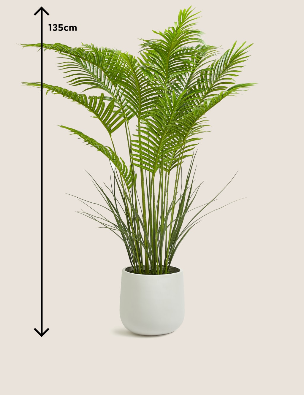 Marks and spencer artificial plants discount