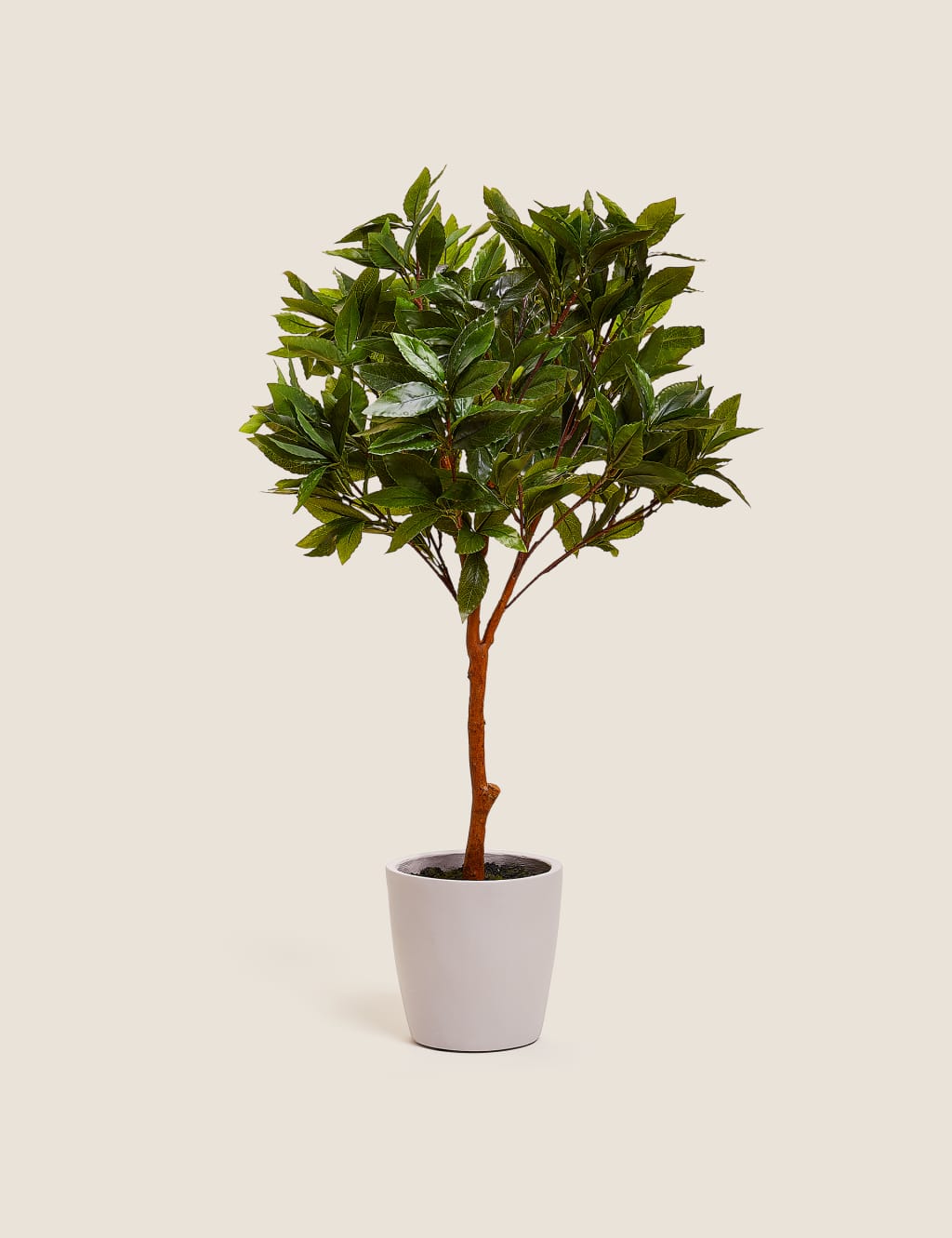 Artificial Floor Standing Bay Tree 1 of 5